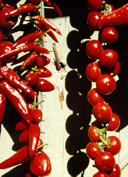 Paprika